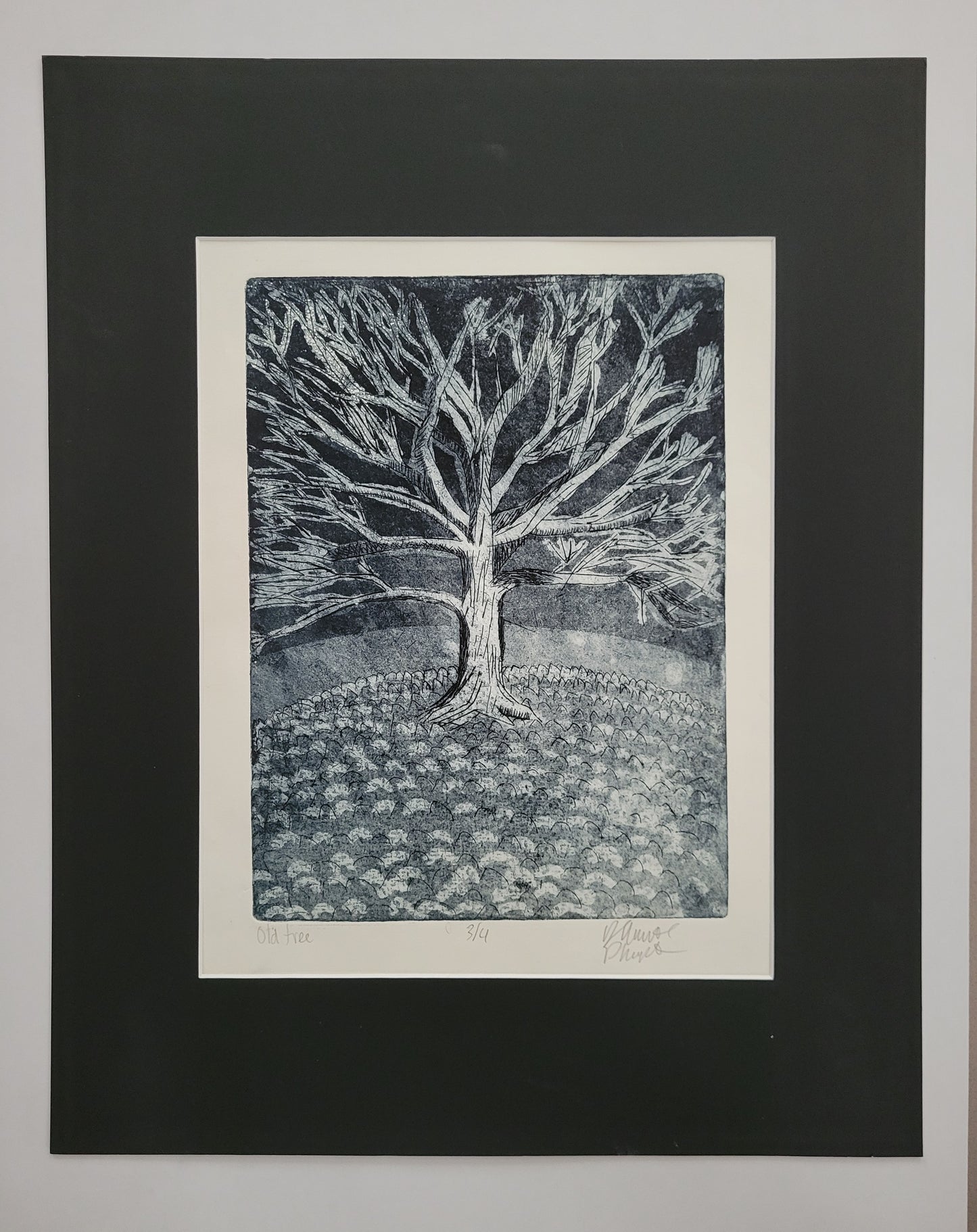 Old Tree - 3/4