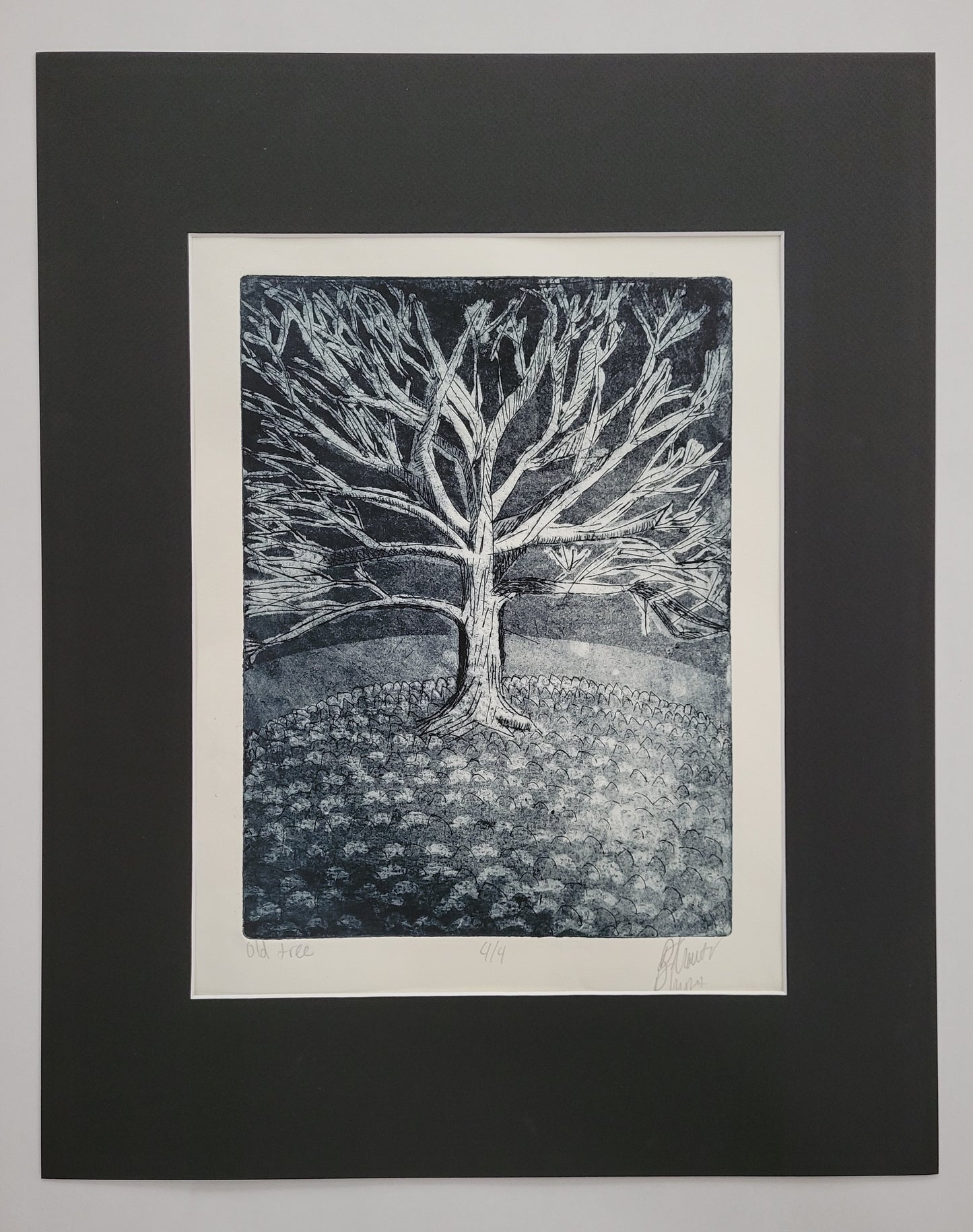 Old Tree - 4/4