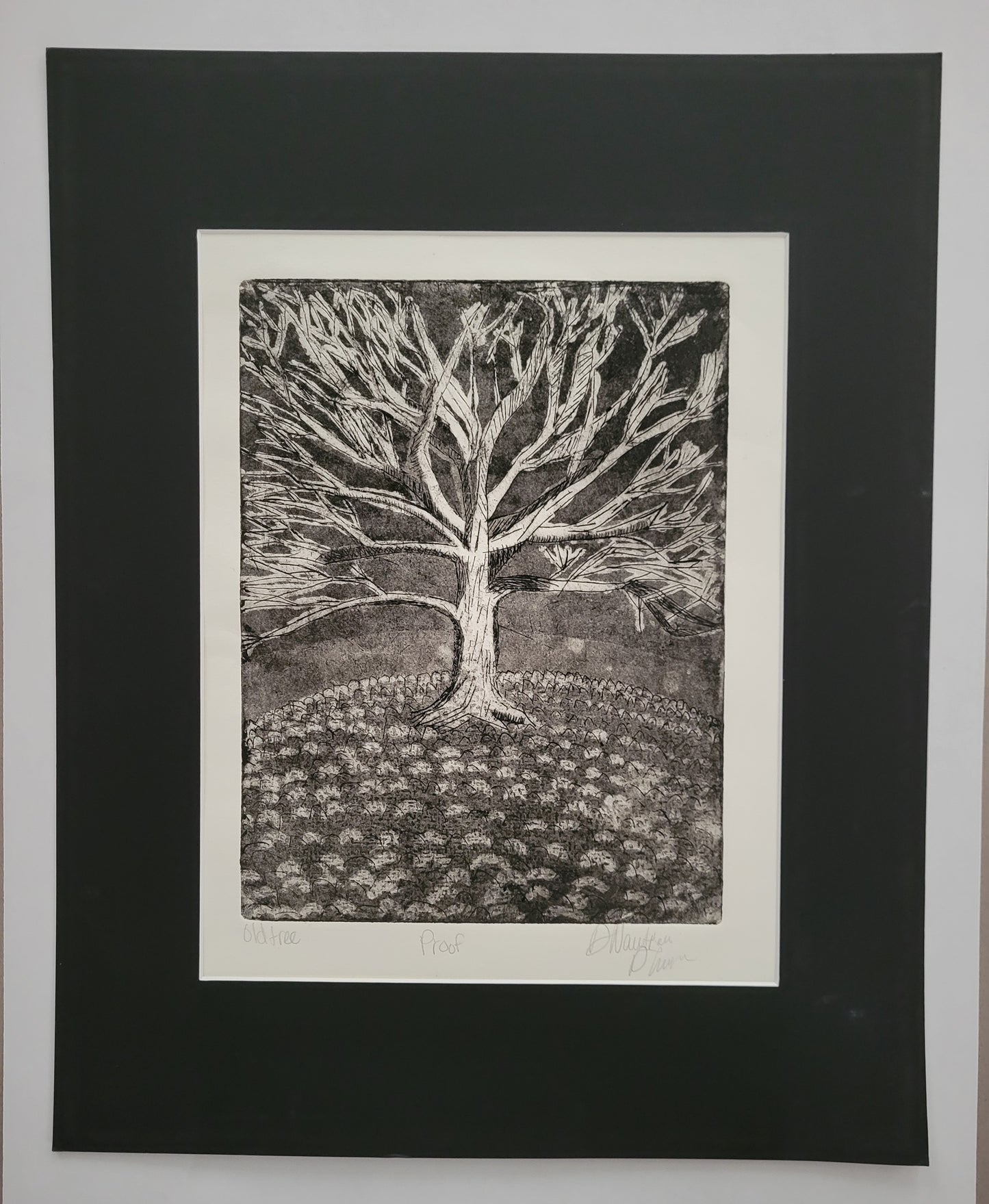 Old Tree - Proof